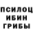 Псилоцибиновые грибы мухоморы TEGIkhsan25