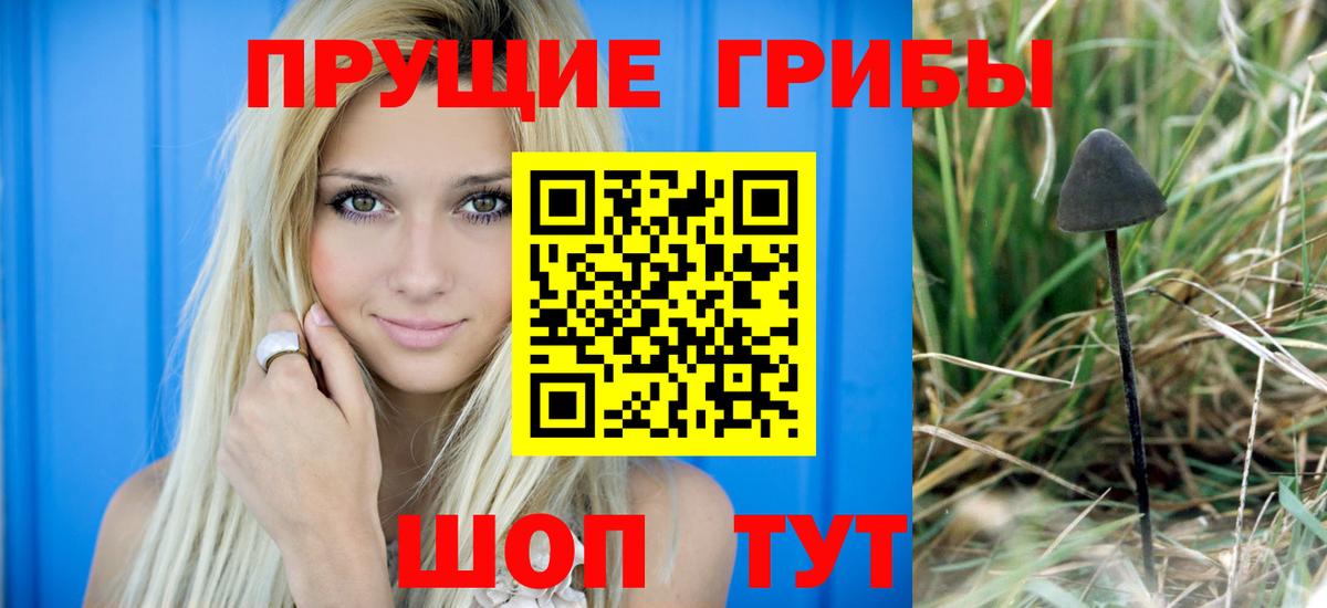 Топки  Псилоцибиновые грибы мухоморы  Галлюциногенные грибы Psilocybine cubensis  где купить наркотик  Вход с VPN 
